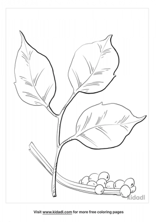 Poison Ivy Coloring Pages | Free Plants Coloring Pages | Kidadl