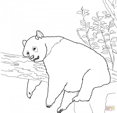 Giant panda coloring pages | Free Coloring Pages