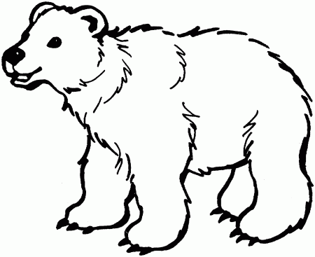 Brown Bear Animal Coloring Pages - Coloring Pages For All Ages