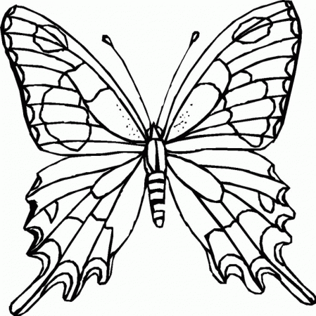 coloring pages of a butterfly az coloring pages Spring Butterfly ...