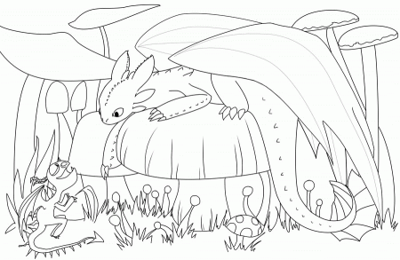 13 Pics of Baby Toothless The Dragon Coloring Pages - How to Train ...