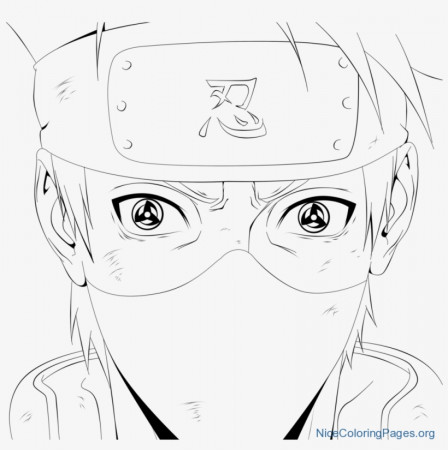 Kakashi Hatake 11 Coloring - Kakashi Hokage Coloring Page - 1024x961 PNG  Download - PNGkit