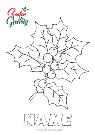 Coloring page No.466 - Happy new year Holly