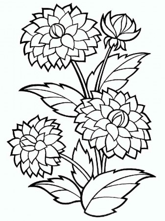 Marigold Coloring Page Png & Free Marigold Coloring Page.png Transparent  Images #108791 - PNGio