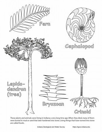 Geology Coloring Pages – Science Fest