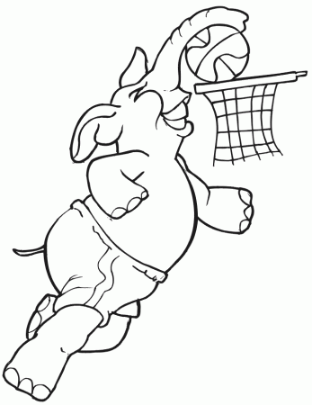 Basketball Coloring Pages and Book | UniqueColoringPages