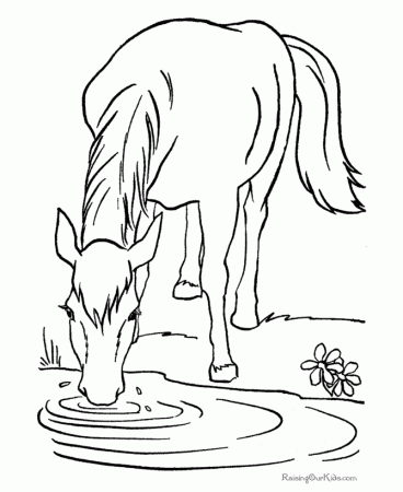 Free Coloring Pages Printable Horses