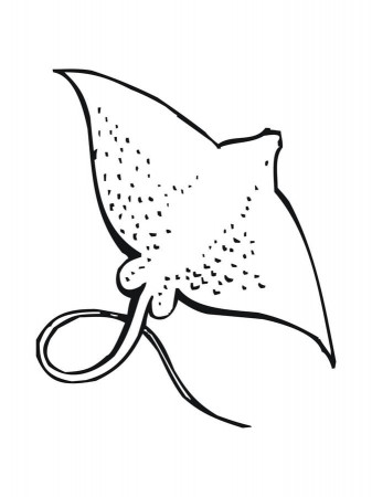 Coloring pages: Coloring pages: Ray, printable for kids & adults, free