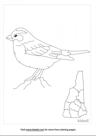 New Hampshire Coloring Pages | Free Usa Coloring Pages | Kidadl