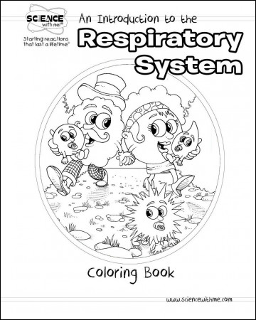 An Introduction to the Respiratory System Coloring Book - Science ...
