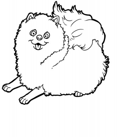 Spitz Coloring Pages