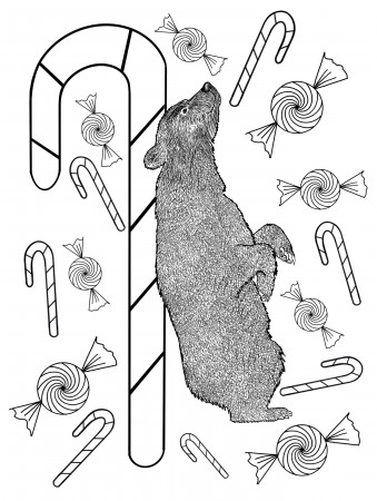 Minimalist Easy Christmas Bear Printable Coloring Pages for - Etsy