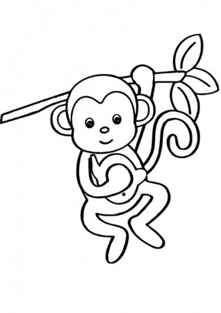 Baby Monkey Colouring Pages - Free Colouring Pages