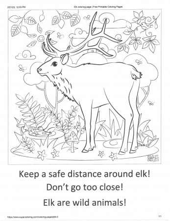 Elk coloring pages | | themountaineer.com