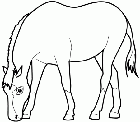 Free Printable Coloring Pages of Animals: 35 Image Ready to Save ...