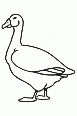 Goose Animal Coloring Pages To