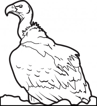 Printable Vulture Coloring Page for Kids #2 – SupplyMe