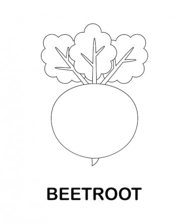 Premium Vector | Coloring page with beetroot for kids
