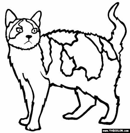Cats Online Coloring Pages | Page 1