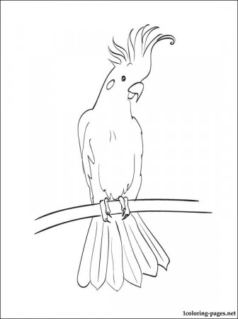 Coloring page Cockatoo | Coloring pages