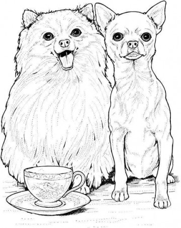 Pomeranian and Chihuahua Coloring Page ...