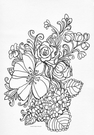 Flower Coloring Page 1 - Andrea Maglio-Macullar - Drawings & Illustration,  Flowers, Plants, & Trees, Flowers, Flowers A-H, Hydrangea - ArtPal