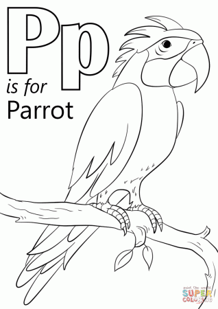 Letter P is for Parrot coloring page | Free Printable Coloring Pages