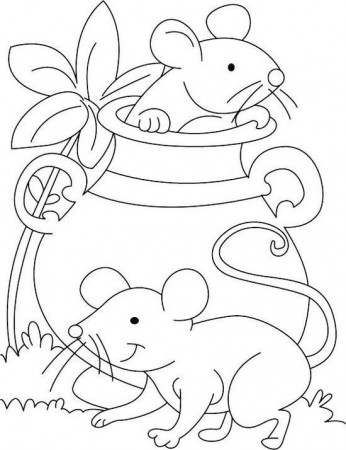 6 Cutest Pet Mouse Coloring Pages for Children