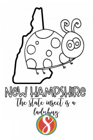 Free New Hampshire Printable Coloring Page Activities — Stevie Doodles Free  Printable Coloring Pages