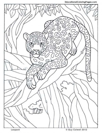 leopard jungle Colouring Pages (page 2) | coloring 3 | Pinterest ...