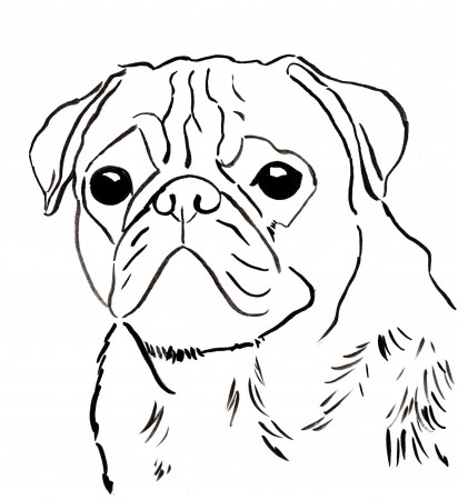 Of Pugs - Coloring Pages for Kids and for Adults