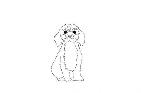 Cockapoo Dog - Line Art SVG Cut file by Creative Fabrica Crafts · Creative  Fabrica