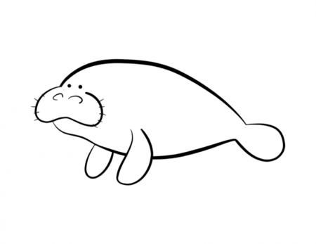 Manatee Coloring Pages - GetColoringPages.com