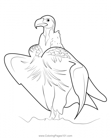 Stand Vulture Bird Coloring Page for Kids - Free Hawks and Eagles Printable Coloring  Pages Online for Kids - ColoringPages101.com | Coloring Pages for Kids