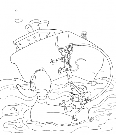 Coloring Page: Pinky 'n the Brain Recover Rodents by AyakoOtani on  DeviantArt
