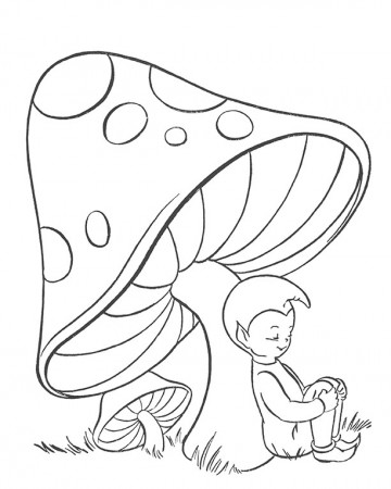 4 Mushroom Coloring Pages (Vintage)! - The Graphics Fairy