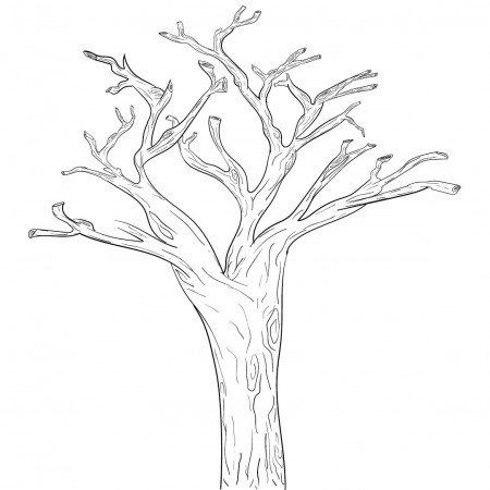 10 Best Tree Branches With Printable Pattern - printablee.com