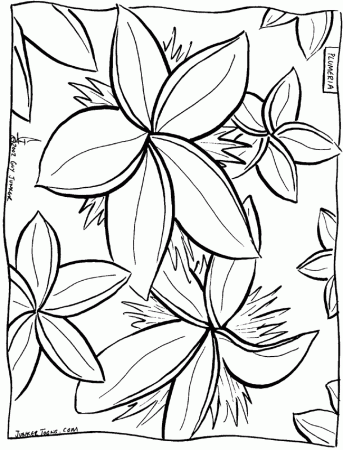 Aloha Coloring Pages Images & Pictures - Becuo - Free Coloring Library