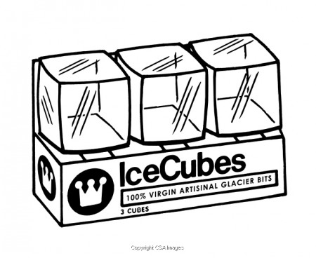 Package of Ice Cubes | #850031A | CSA Images