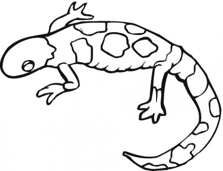 Free Gecko Coloring Page - Free Printable Coloring Pages for Kids