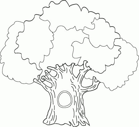 Tree Coloring Pages - Dr. Odd