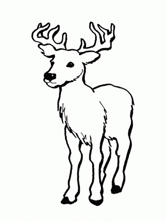 Printable Deer Coloring Pages | Coloring Me