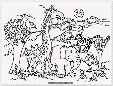 Preschool Zoo Coloring Page
