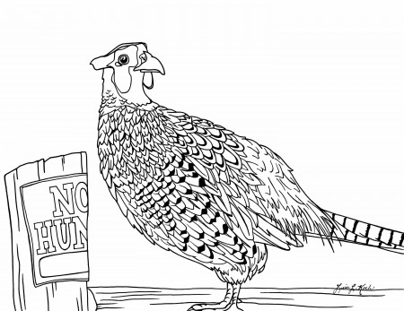 Ring-necked Pheasant Coloring Page - Etsy