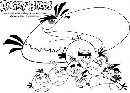 boomerang angry bird with big beak coloring pages. angry bird pigs ...