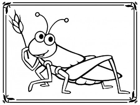 Grasshopper Coloring Pages | Realistic Coloring Pages
