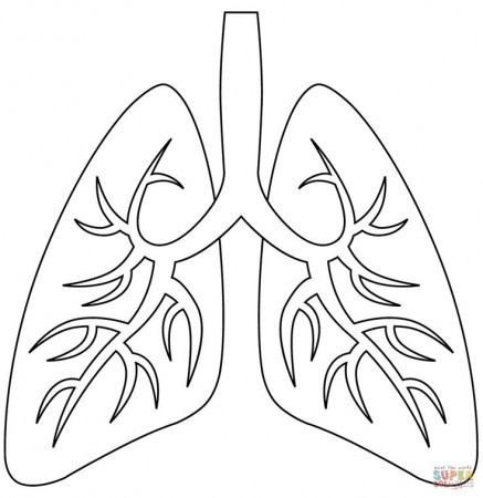 Lungs coloring page | Free Printable Coloring Pages in 2023 | Free  printable coloring pages, Coloring pages, Heart coloring pages