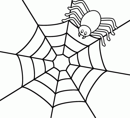 Spider on top of web - Coloring Page (Insects)