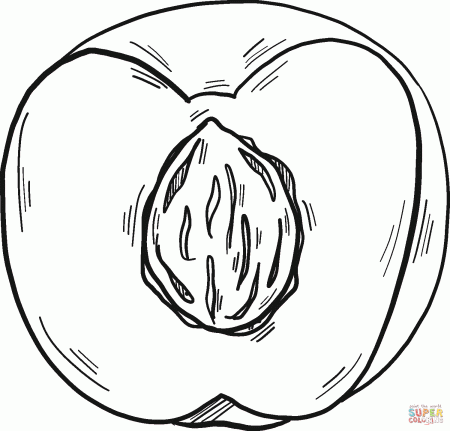 Half Peach with a Stone coloring page | Free Printable Coloring Pages