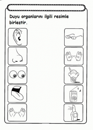 Five senses worksheet for kids | Crafts and Worksheets for ...